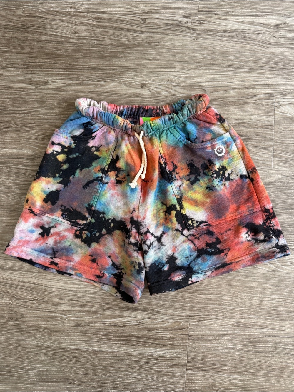Big Bud Press • Rainbow Magic Waters • Heavyweight Sweat Shorts • Size Small